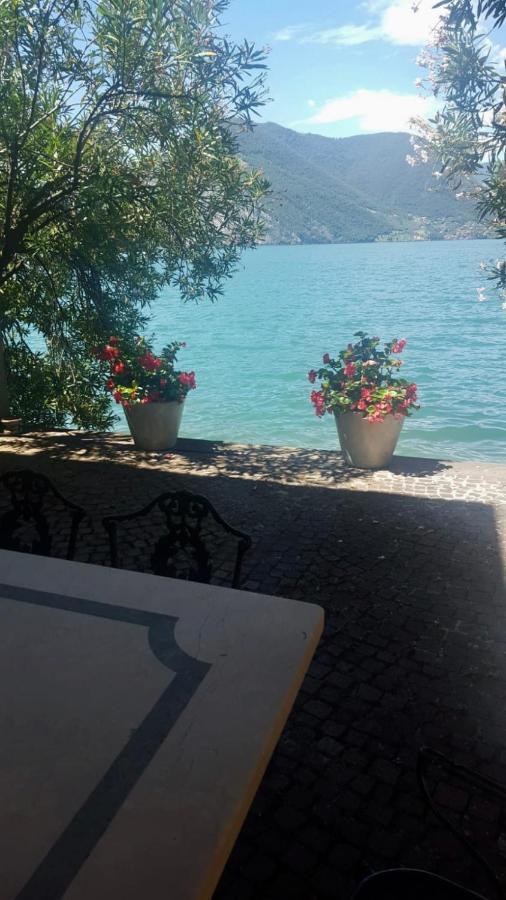 L'Oleandro Sul Lago D'Iseo B&B Sulzano Bagian luar foto
