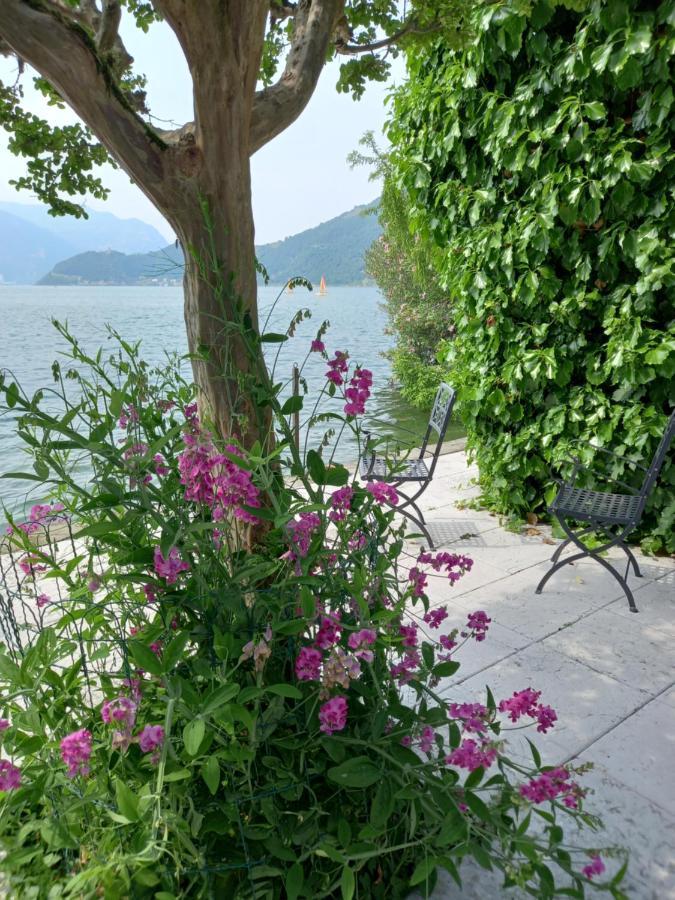 L'Oleandro Sul Lago D'Iseo B&B Sulzano Bagian luar foto