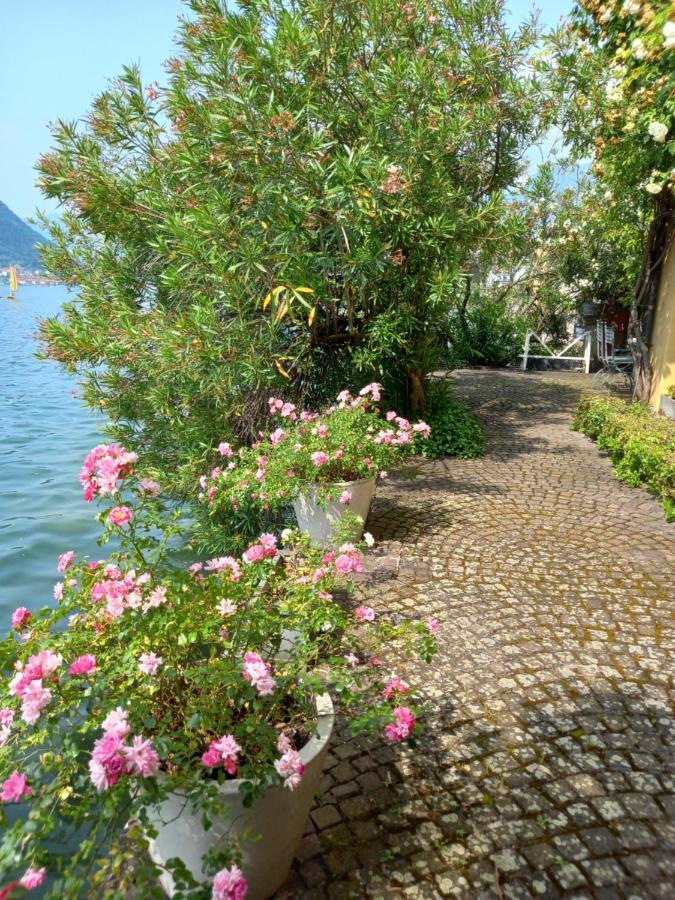 L'Oleandro Sul Lago D'Iseo B&B Sulzano Bagian luar foto