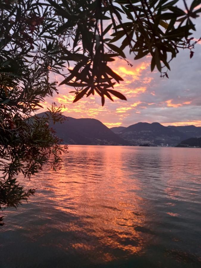 L'Oleandro Sul Lago D'Iseo B&B Sulzano Bagian luar foto