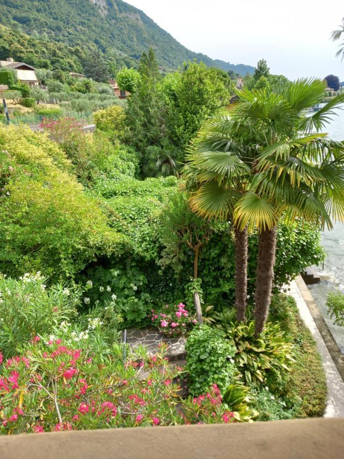 L'Oleandro Sul Lago D'Iseo B&B Sulzano Bagian luar foto