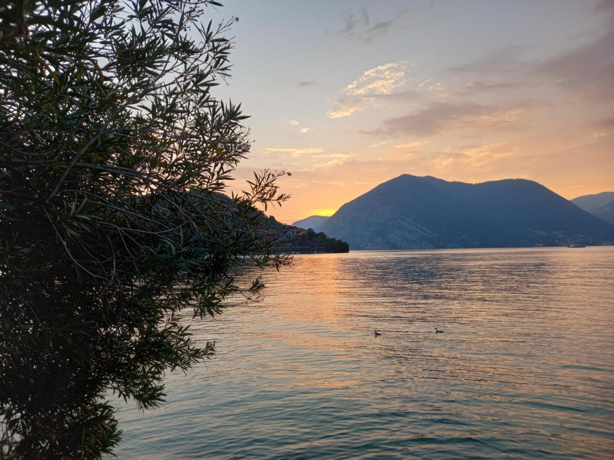 L'Oleandro Sul Lago D'Iseo B&B Sulzano Bagian luar foto